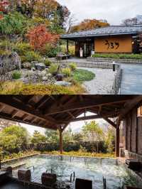 Winter's Hidden Gem: Tokyo's Surrounding Light Shows