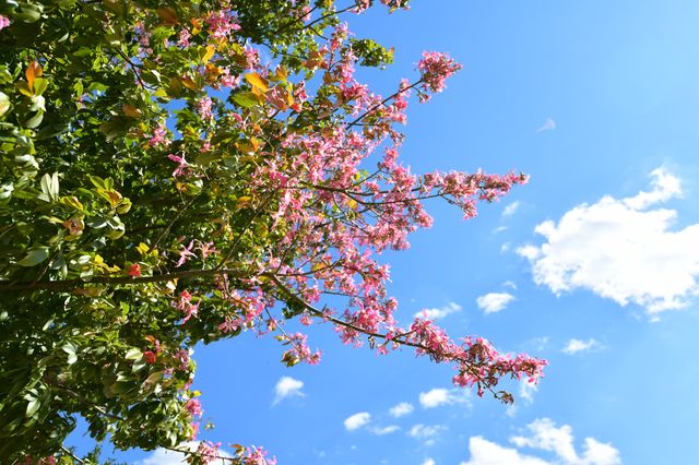 來雲南元謀，享受27℃的冬日暖陽