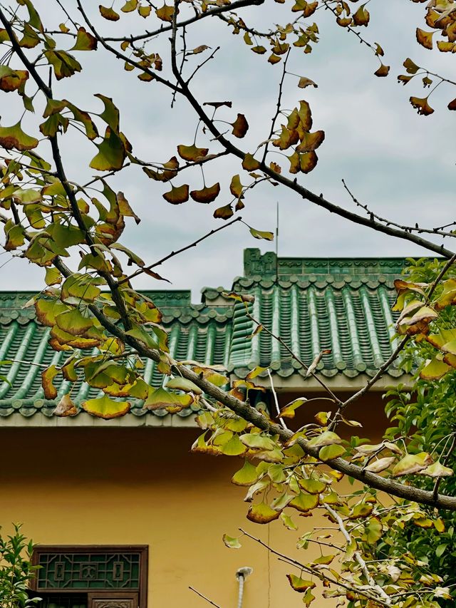 深圳周邊遊