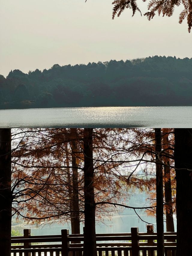 漫步湖畔綠道：享受悠閒時光