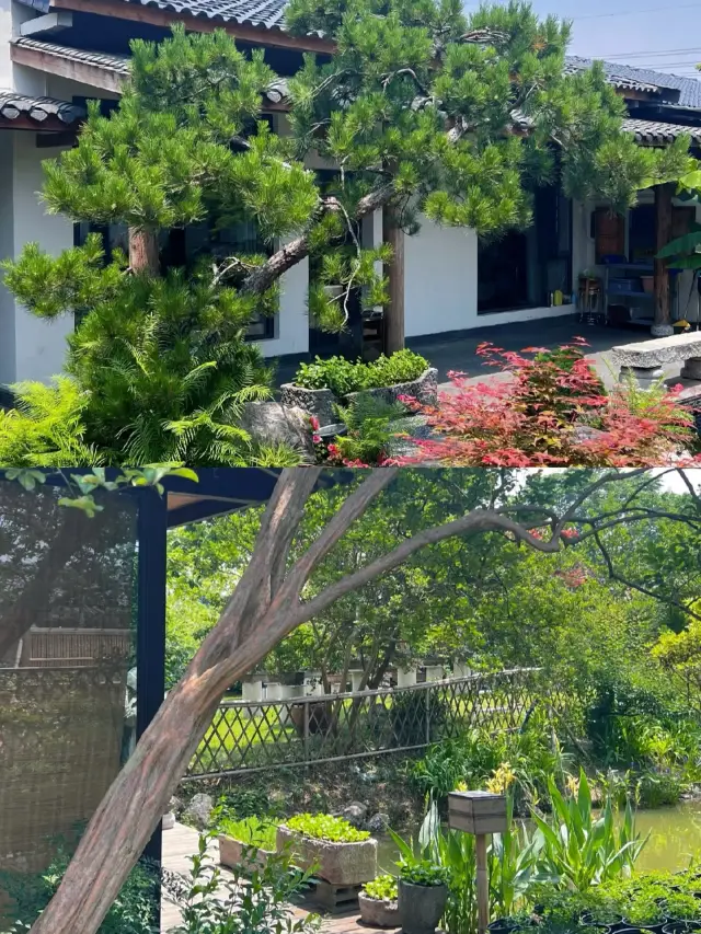 Jingmen autumn romantic trip, come and experience this wonderful time together