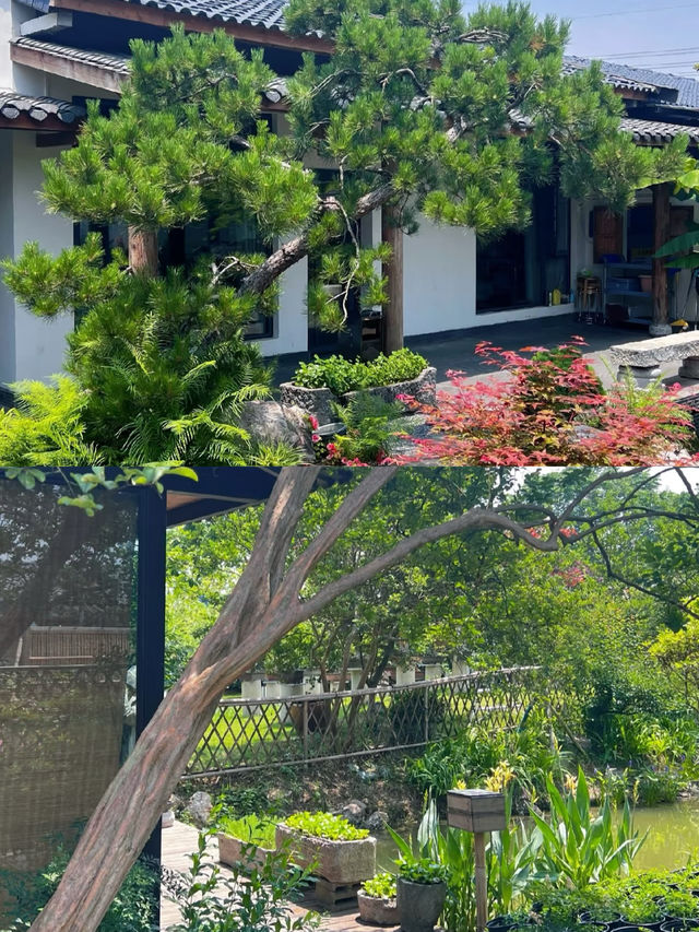 荊門秋日浪漫旅行，一起來體驗這美好時光吧
