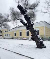 哈爾濱太陽島雪博會（12月27日至2月26日）