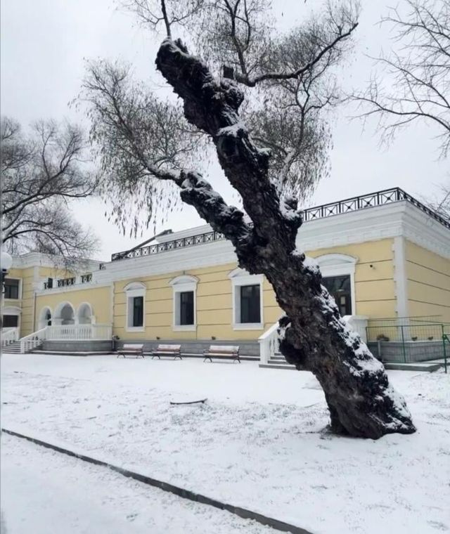 哈爾濱太陽島雪博會（12月27日至2月26日）