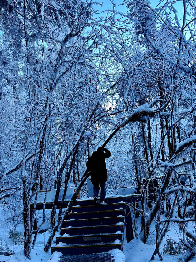 雪後冬日海螺溝，解鎖日照金山的奇妙攻略