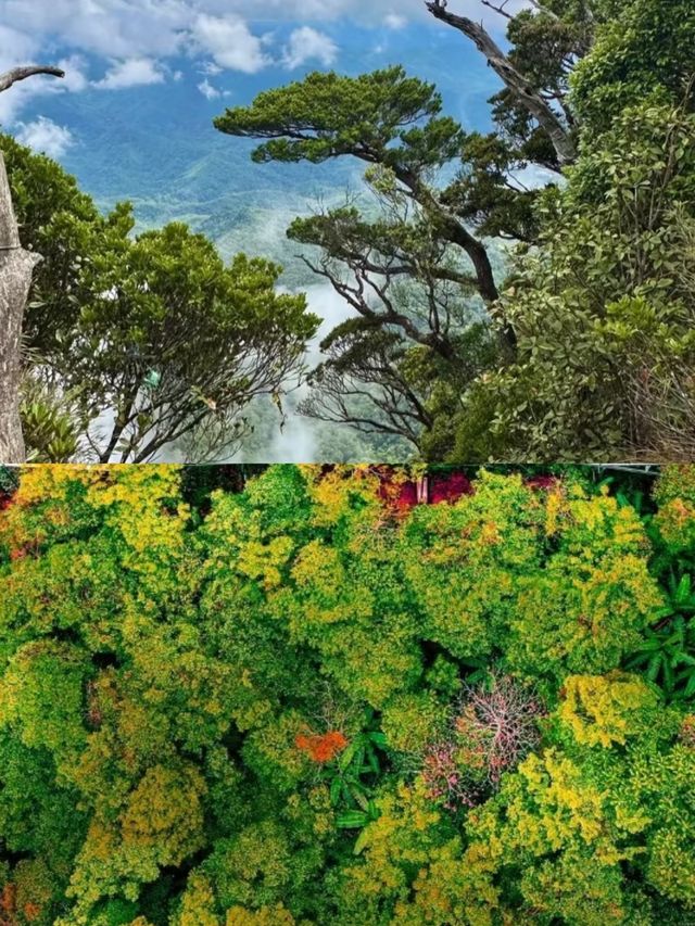 海南全島遊玩，環島及中線景點匯總