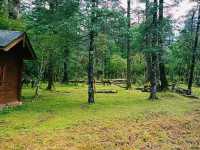 Yak Meadow: The True Tranquility, Feeling of Nirvana State