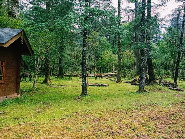 Yak Meadow: The True Tranquility, Feeling of Nirvana State