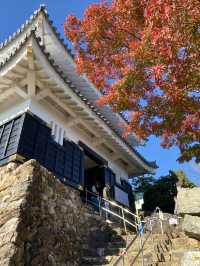 日本岐阜城 登高望遠