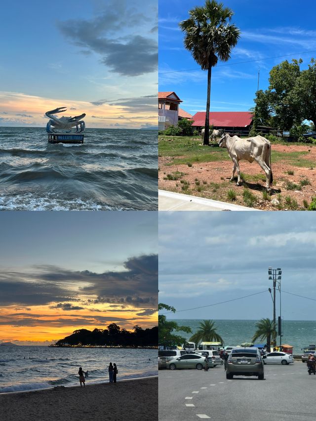探秘白馬市：柬埔寨的海濱寶藏