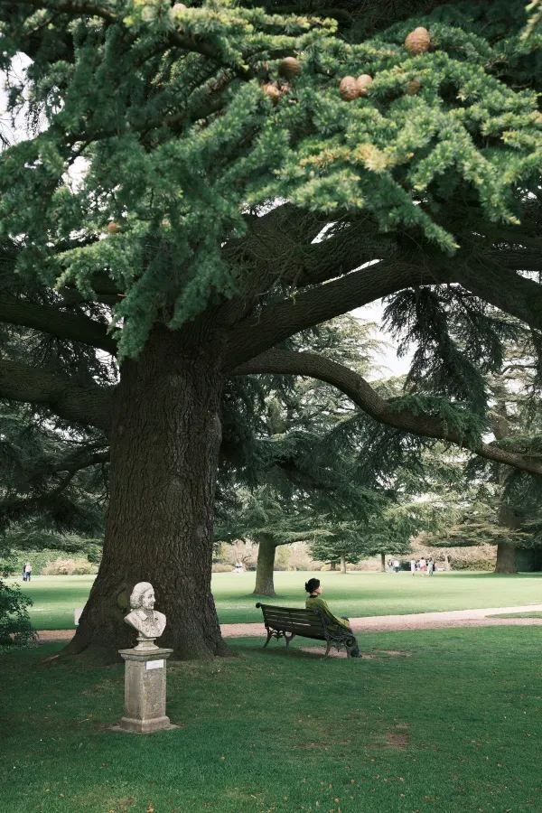 Visit to Highclere Castle, the Real Downton Abbey!
