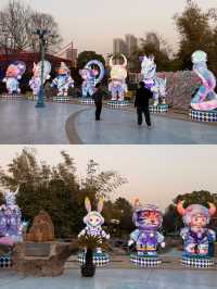 過年來武漢極地海洋公園🪼就這麼玩！