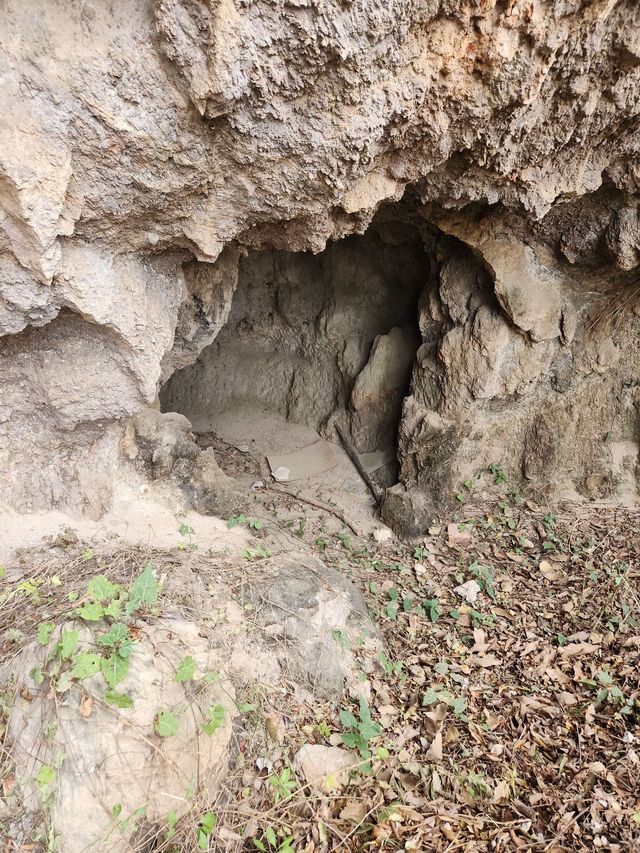 2天輕鬆玩轉廬山 朋友圈熱門攻略