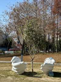 隱藏在城市中的寶藏公園，景美人少，少人知曉