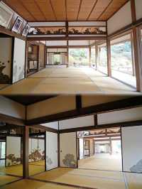 青蓮院門跡