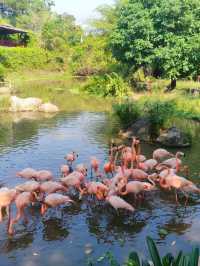 Phu Quoc Island 14 Days Itinerary