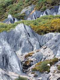 稻城5日遊 玩轉高原美景 不走冤枉路