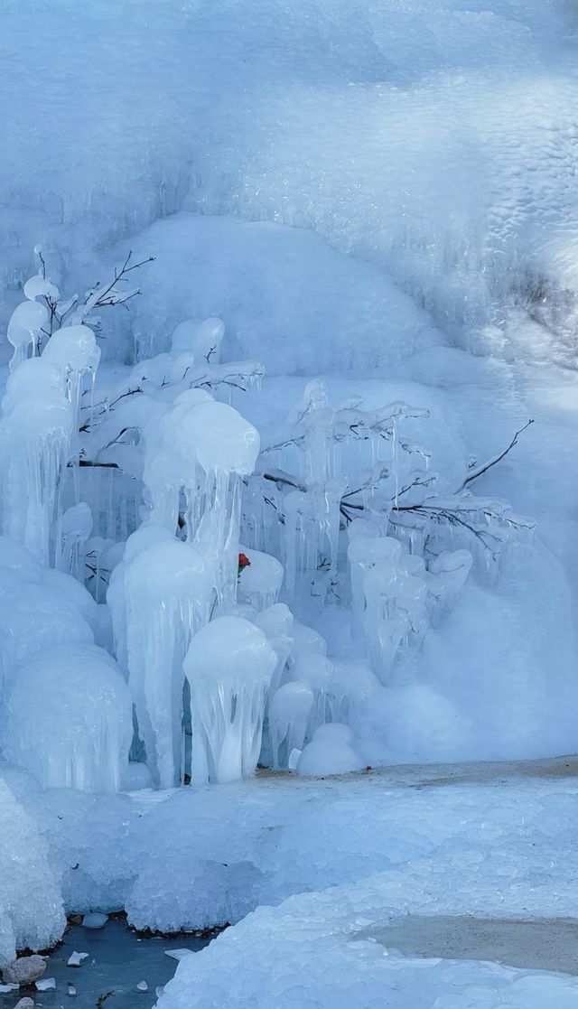 秦皇島版冰雪奇緣！震撼無比美麗的冰川瀑布