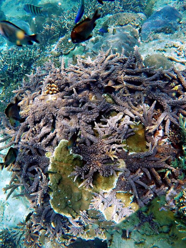 春節玩轉海口-博鰲-萬寧 這篇攻略教你如何不留遺憾