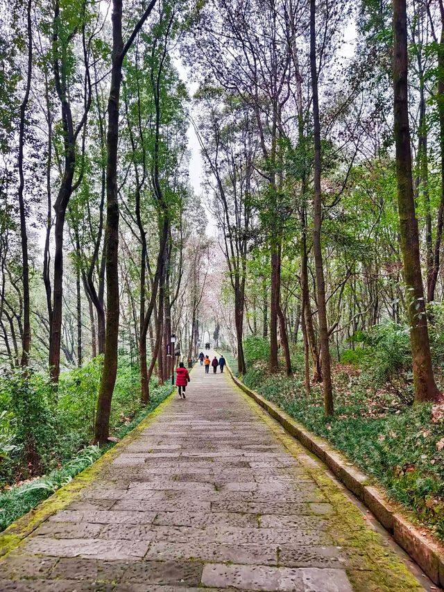 合川區    釣魚城景區-九口鍋遺址