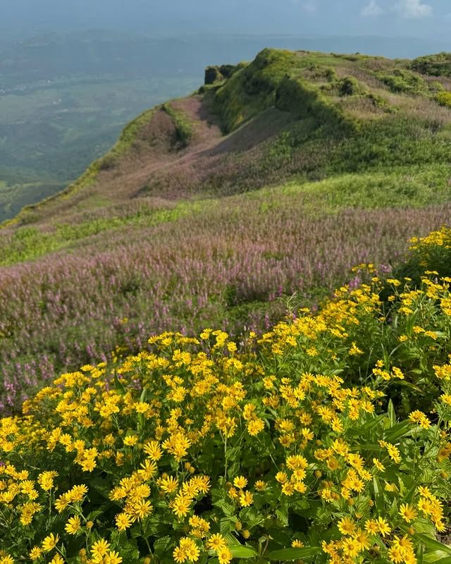 印度拉杰果德堡：穿越歷史的古堡遺址