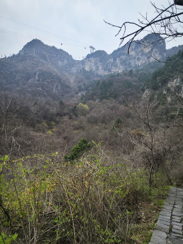 河南青龍峽邂逅綠野仙蹤