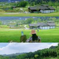 唔系京都❗️系中山‼️值N刷嘅公園 中山公園天花板