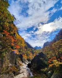 韓國原州市雪嶽山：秋季嘅天然畫卷 
