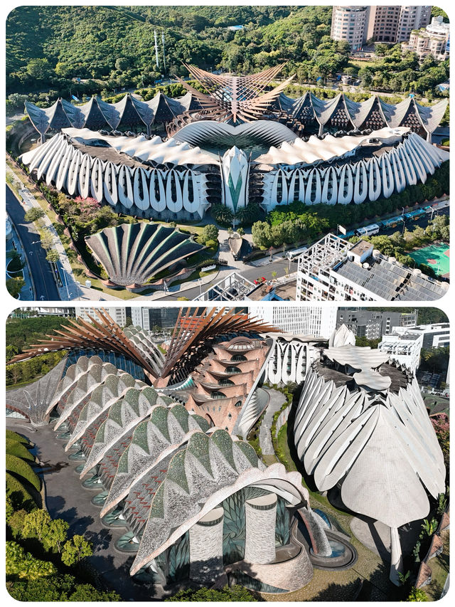 這5個地方一眼像在國外｜原來都在深圳啊