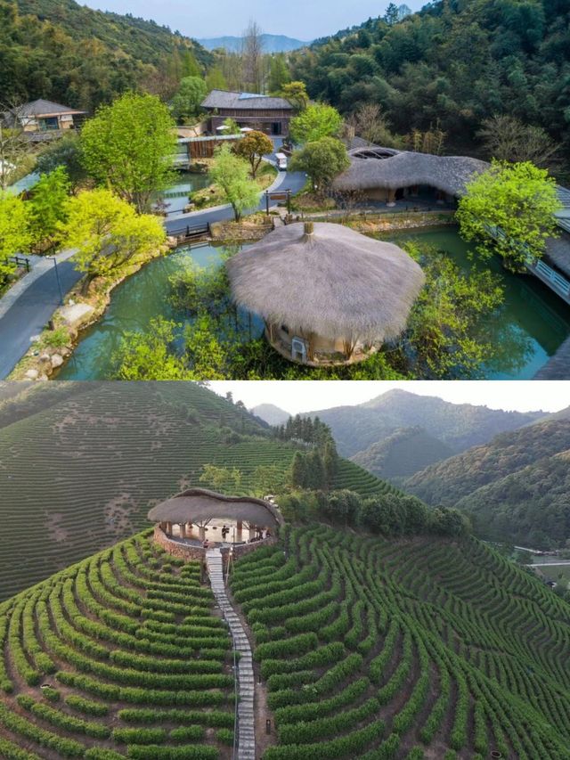 誤入安吉桃源深處這家湯泉酒店藏不住了