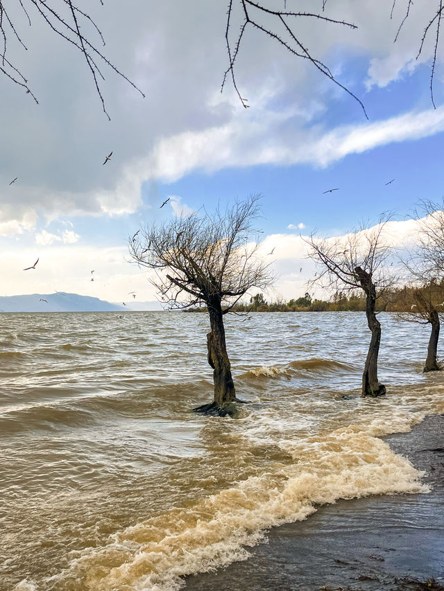 撈魚河濕地公園生存指南：如何完美仆街！