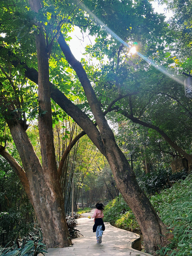 廣州春天｜雲道遠足吸氧｜越秀公園雕塑公園