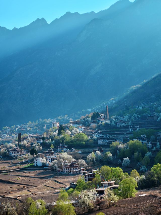 丹巴梨花 | 錯過等一年的川西絕景，這份指南請收藏