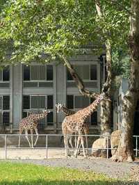 上海動物園｜值得反覆去的好地方