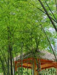 廣州慕吉雲溪山居民宿隱世山間的療癒小院，打卡自然與文藝的完美結合！