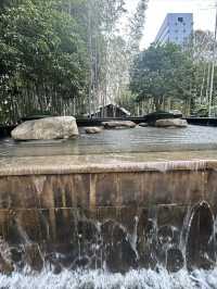 尋找春天的色彩，就來徐家匯公園吧