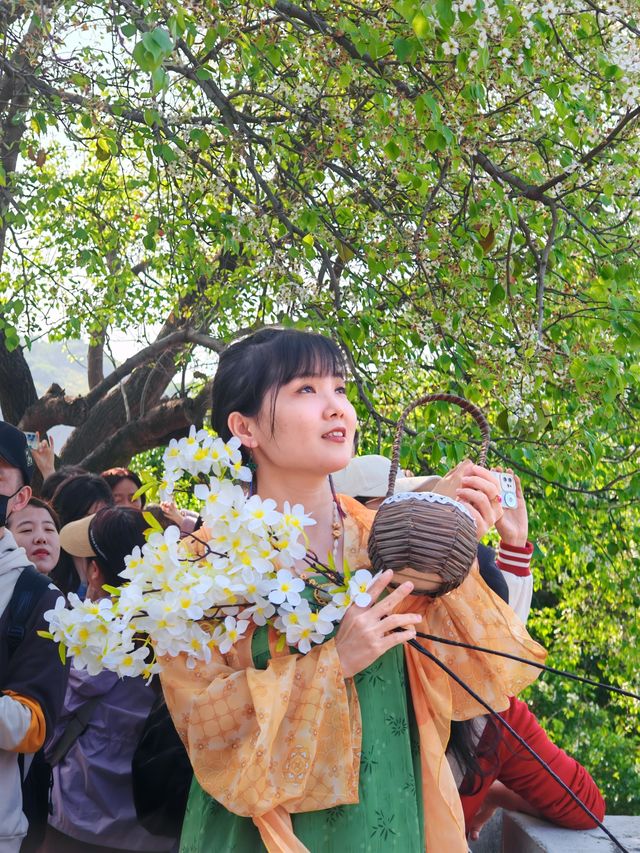 廈門市海滄區→石室禪院