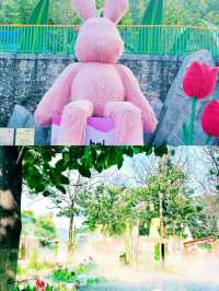 河南寶泉藏秘境，我竟邂逅了這樣的「綠野仙蹤」？