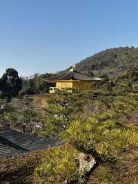 8日暢遊日本 超齊全攻略帶你玩轉熱門景點