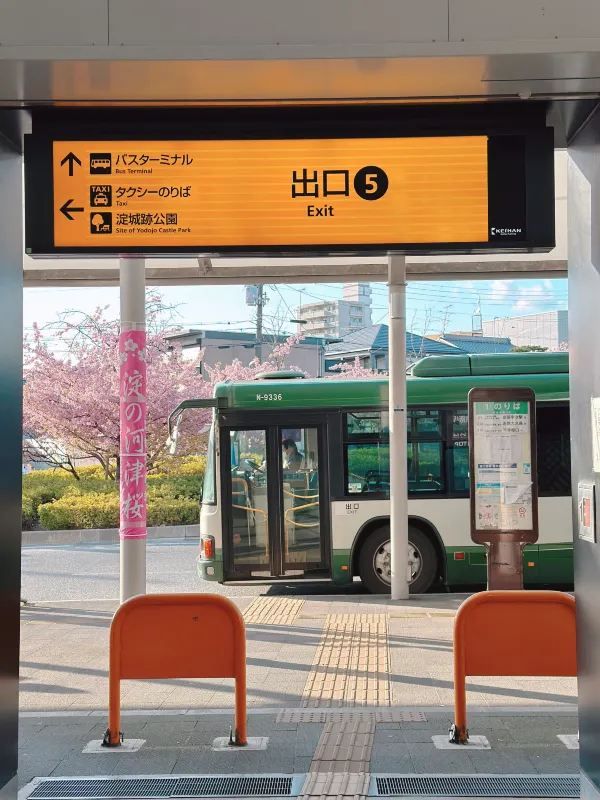 京都で楽しむ早春の桜