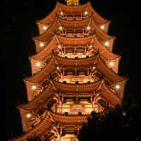 深圳龍華公園 | 夜間漫步的光影之境