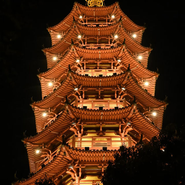 深圳龍華公園 | 夜間漫步的光影之境