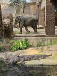 萊比錫動物園通關記！超大園區的瘋狂動物追蹤