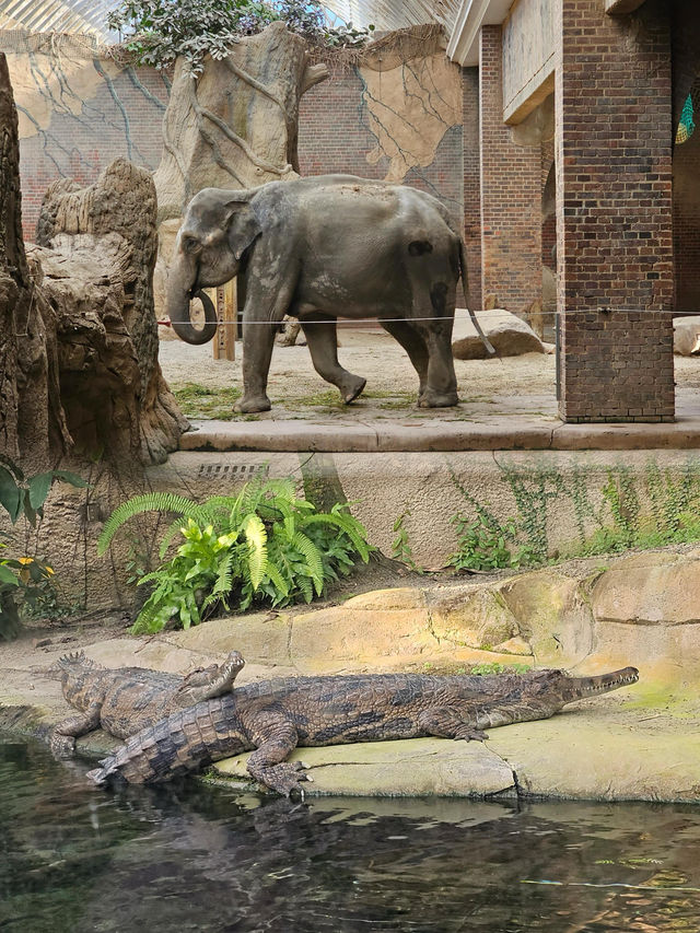 萊比錫動物園通關記！超大園區的瘋狂動物追蹤