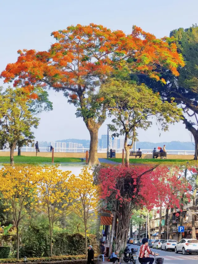 Shantou, Guangdong丨Off-peak travel in March-April is amazing: fewer crowds, beautiful scenery