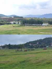 探索貴州六盤水玉舍森林公園，邂逅自然之美！