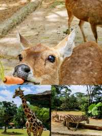 誰懂！在茂物市動物園開啟奇妙動物狂歡