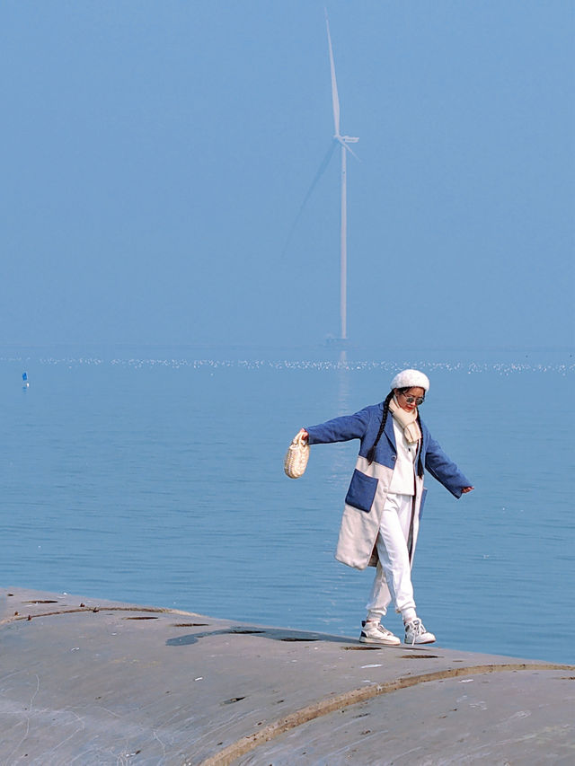 天津免費觀賞海鷗｜東疆親海公園超詳細攻略