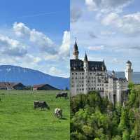 以下是一份德國烏爾姆的旅遊攻略：