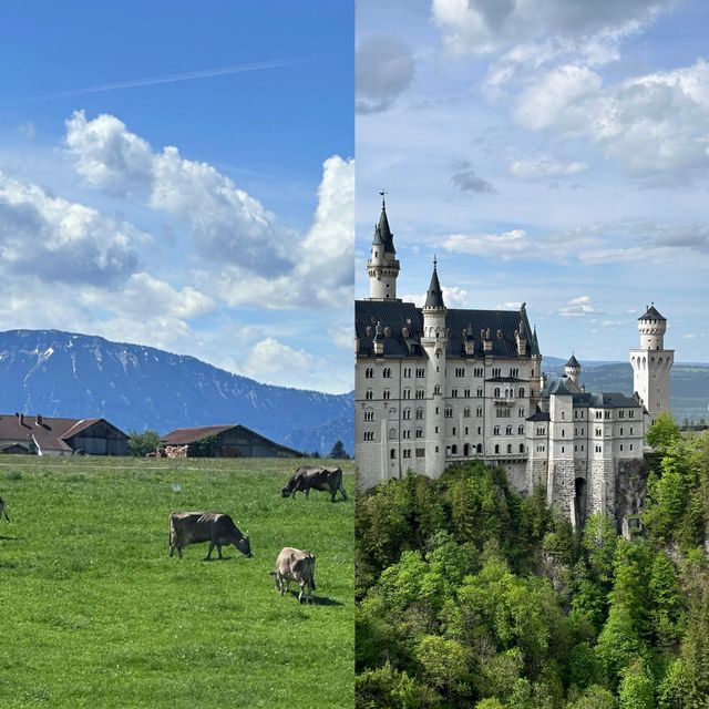 以下是一份德國烏爾姆的旅遊攻略：